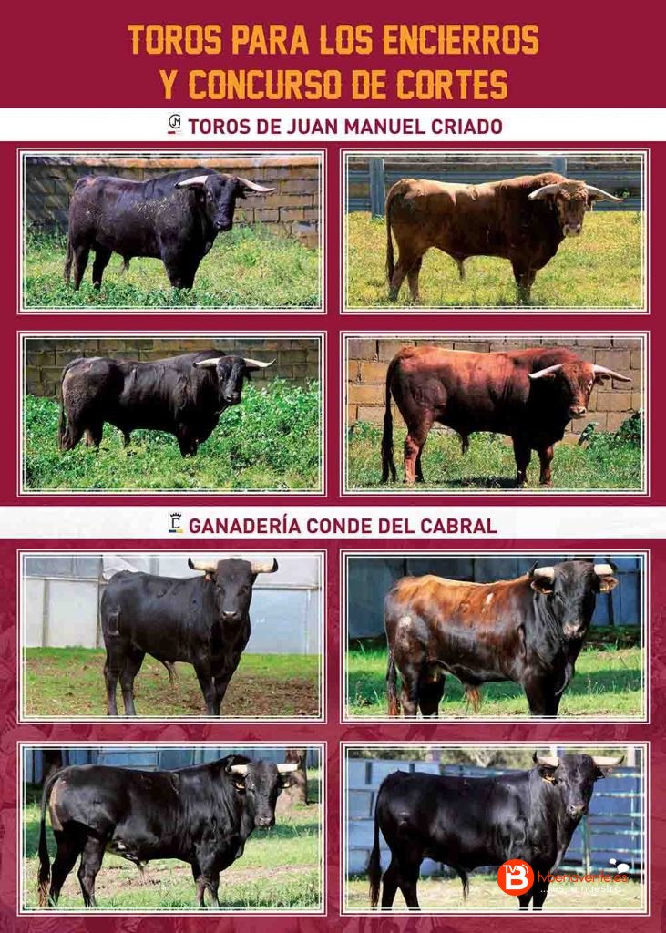 CARTEL NOVILLOS - TORO ENMAROMADO 2016