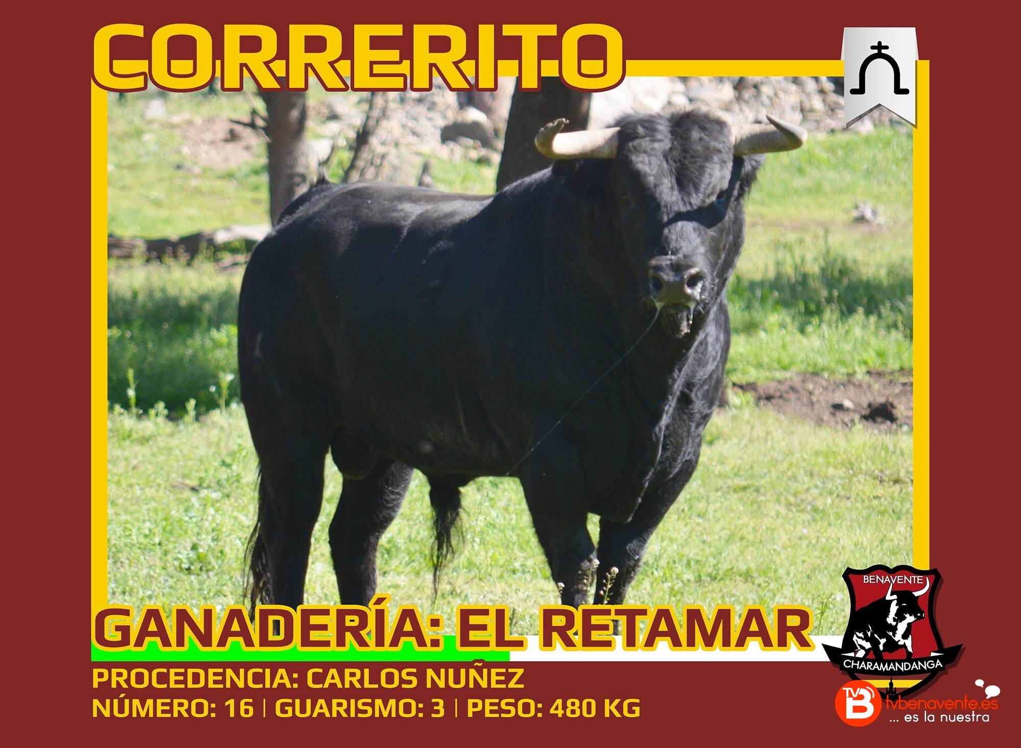 Toros Condes Duque Benavente 2016 - Correrito - Charamandanga