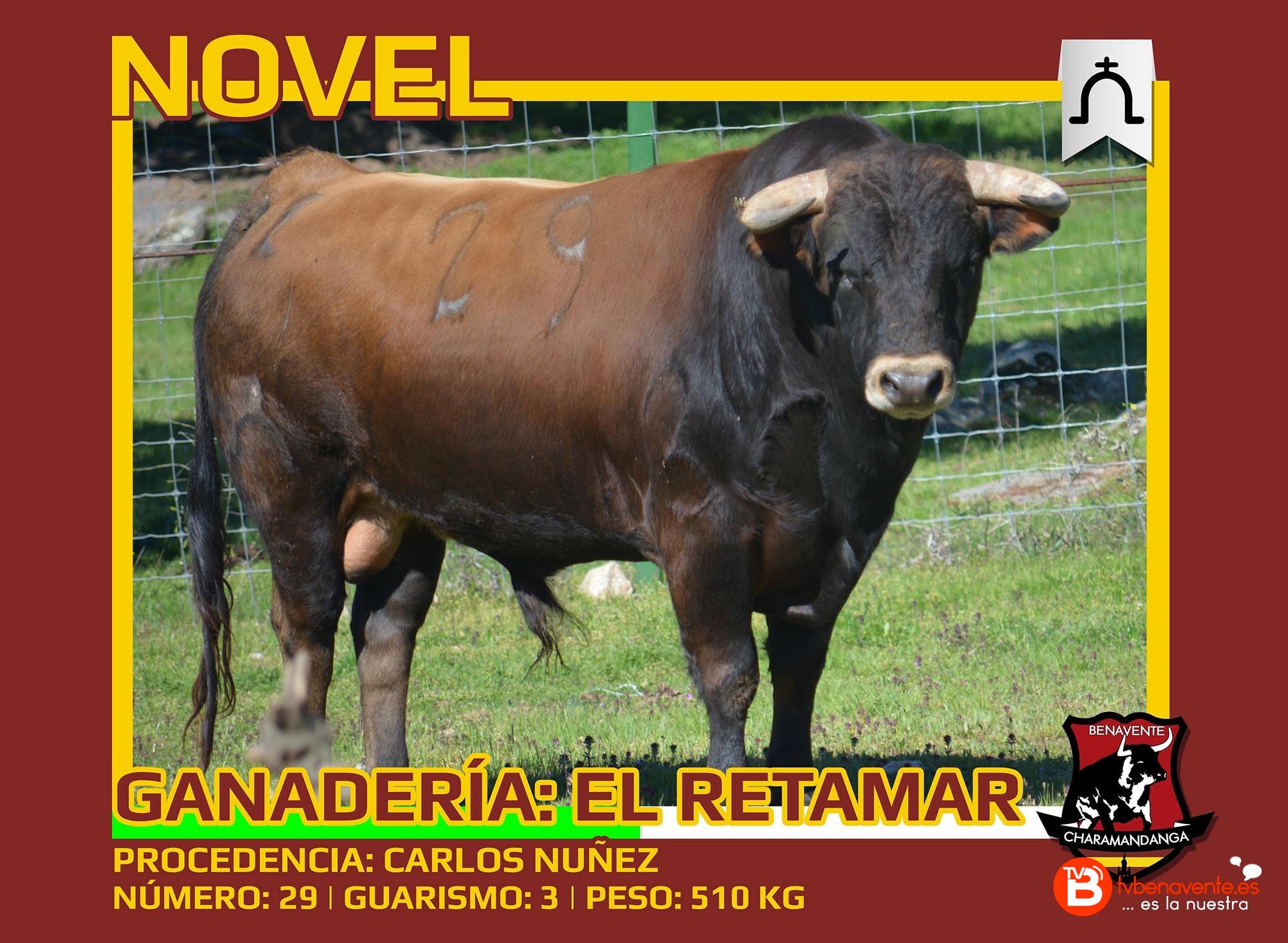 Toros Condes Duque Benavente 2016 - Novel - Charamandanga