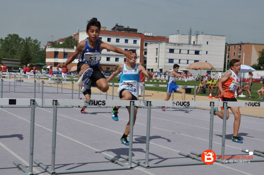 Atletismo vallas
