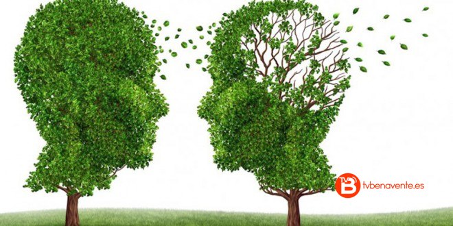 dia-mundial-alzheimer