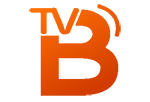 Televisión Benavente